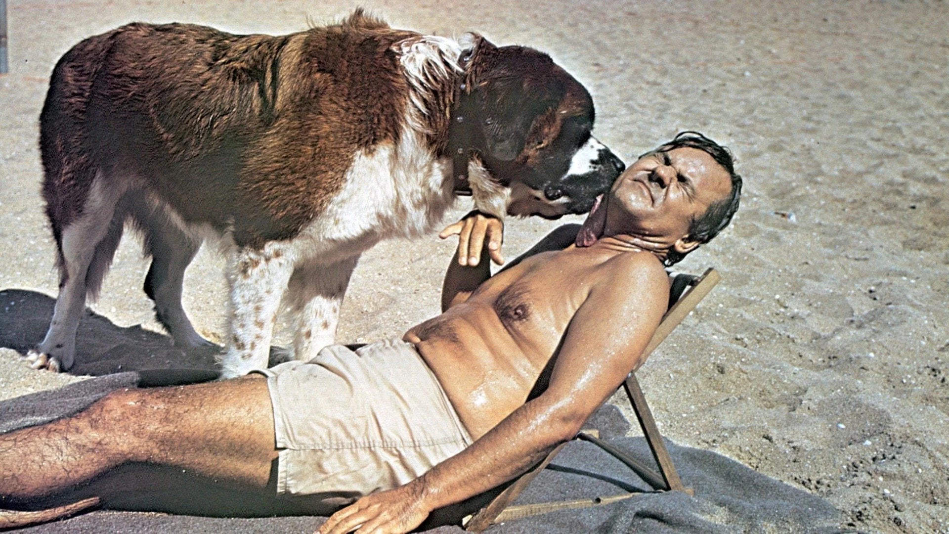 High quality Superdad (1973) prints online - Popcorn Poster Official