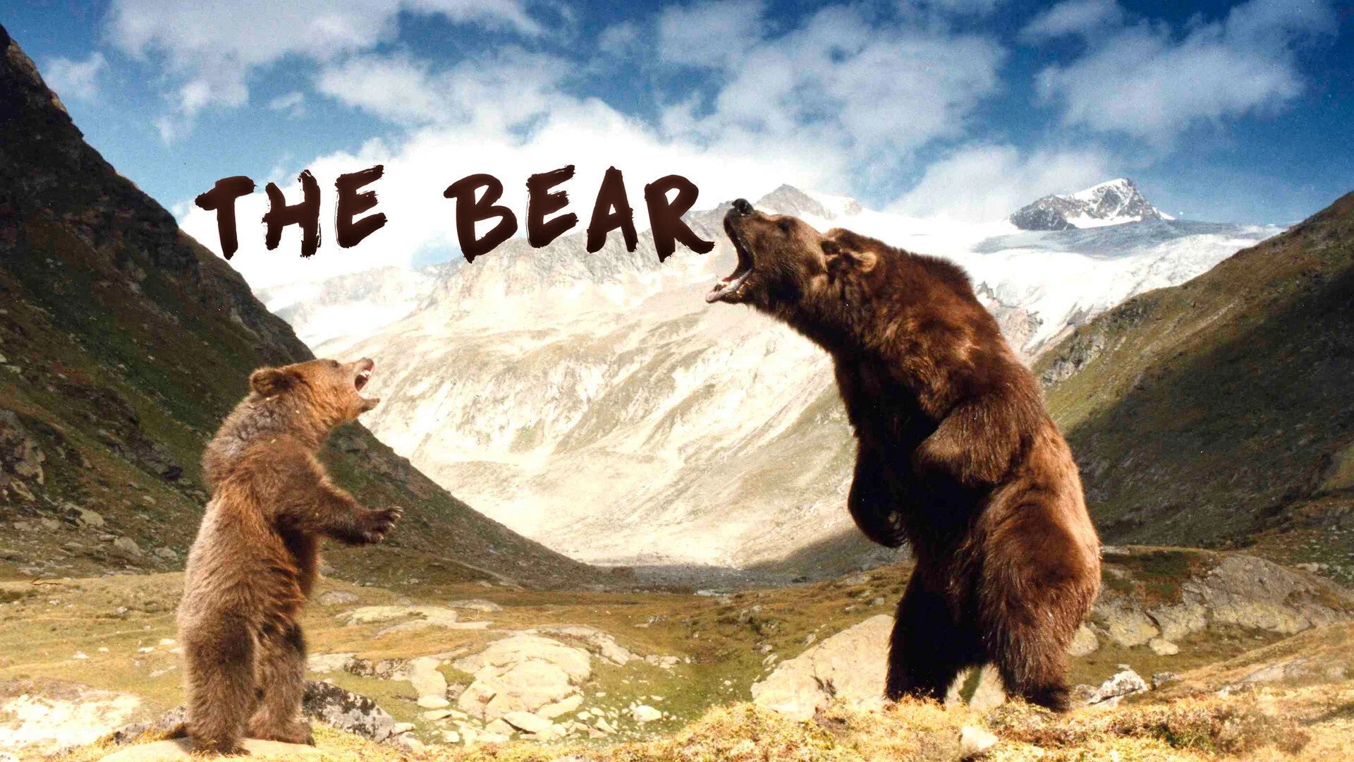 High quality The Bear (1988) prints online - Popcorn Poster Official