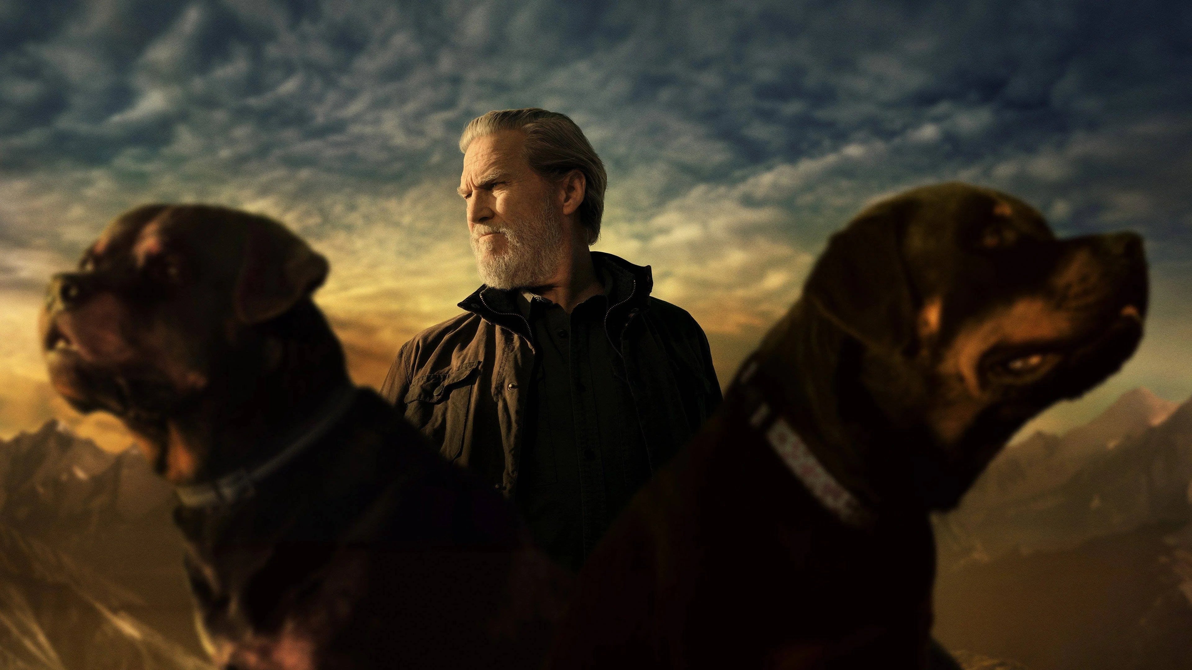 High quality The Old Man (2022) prints online - Popcorn Poster Official