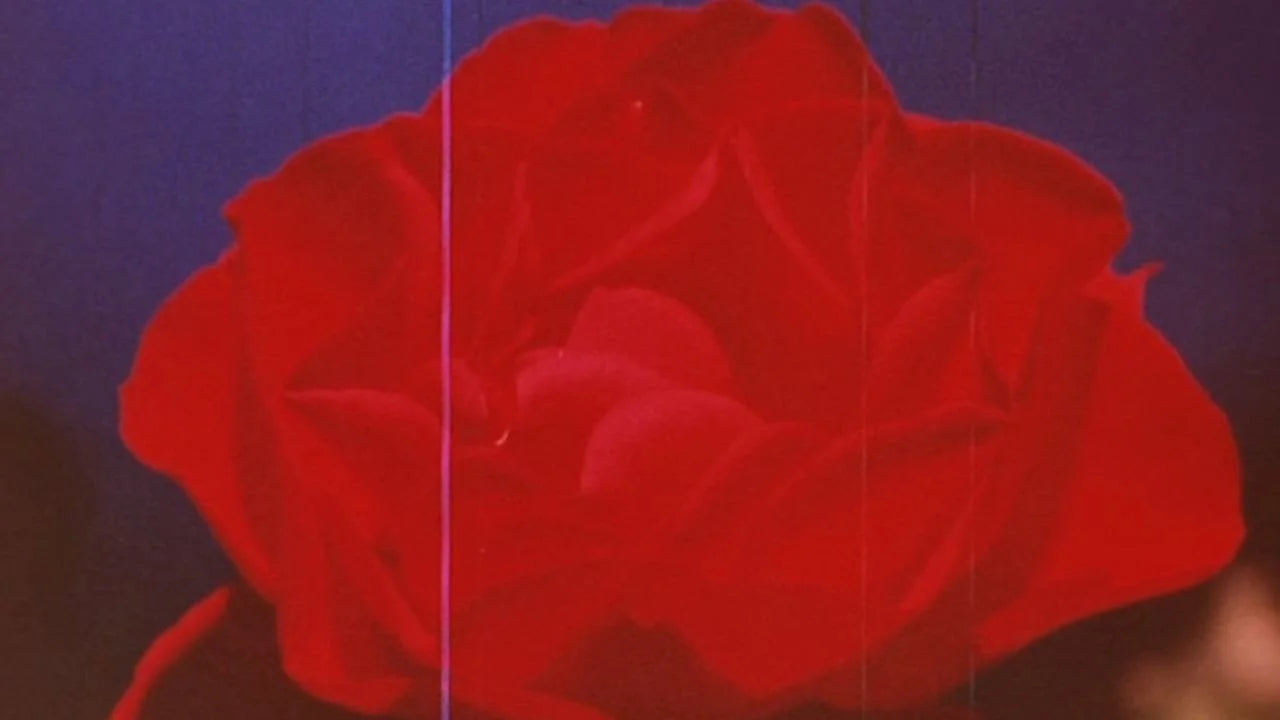 High quality The Rose King (1986) prints online - Popcorn Poster Official