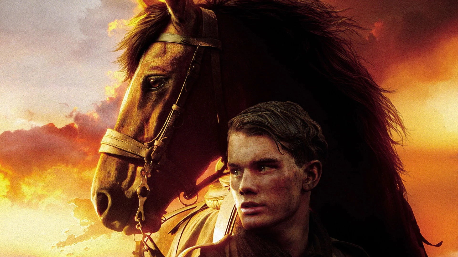 High quality War Horse (2011) prints online - Popcorn Poster Official