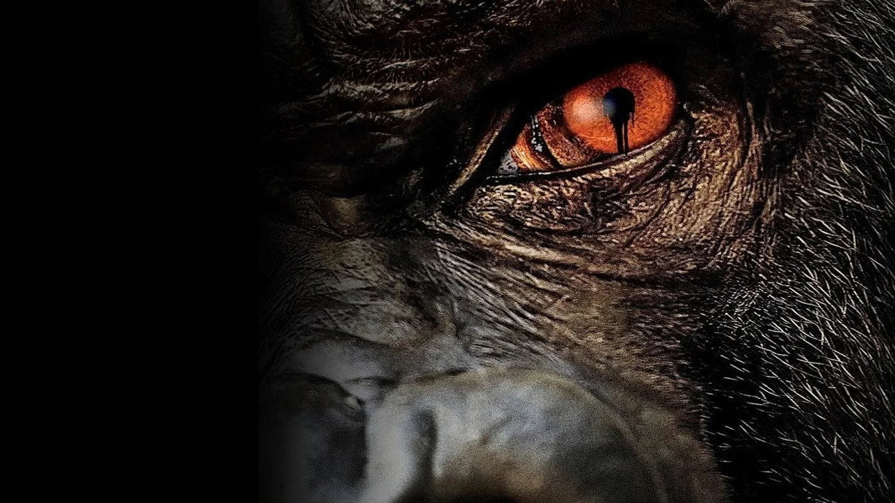 High quality Zoo (2015) prints online - Popcorn Poster Official