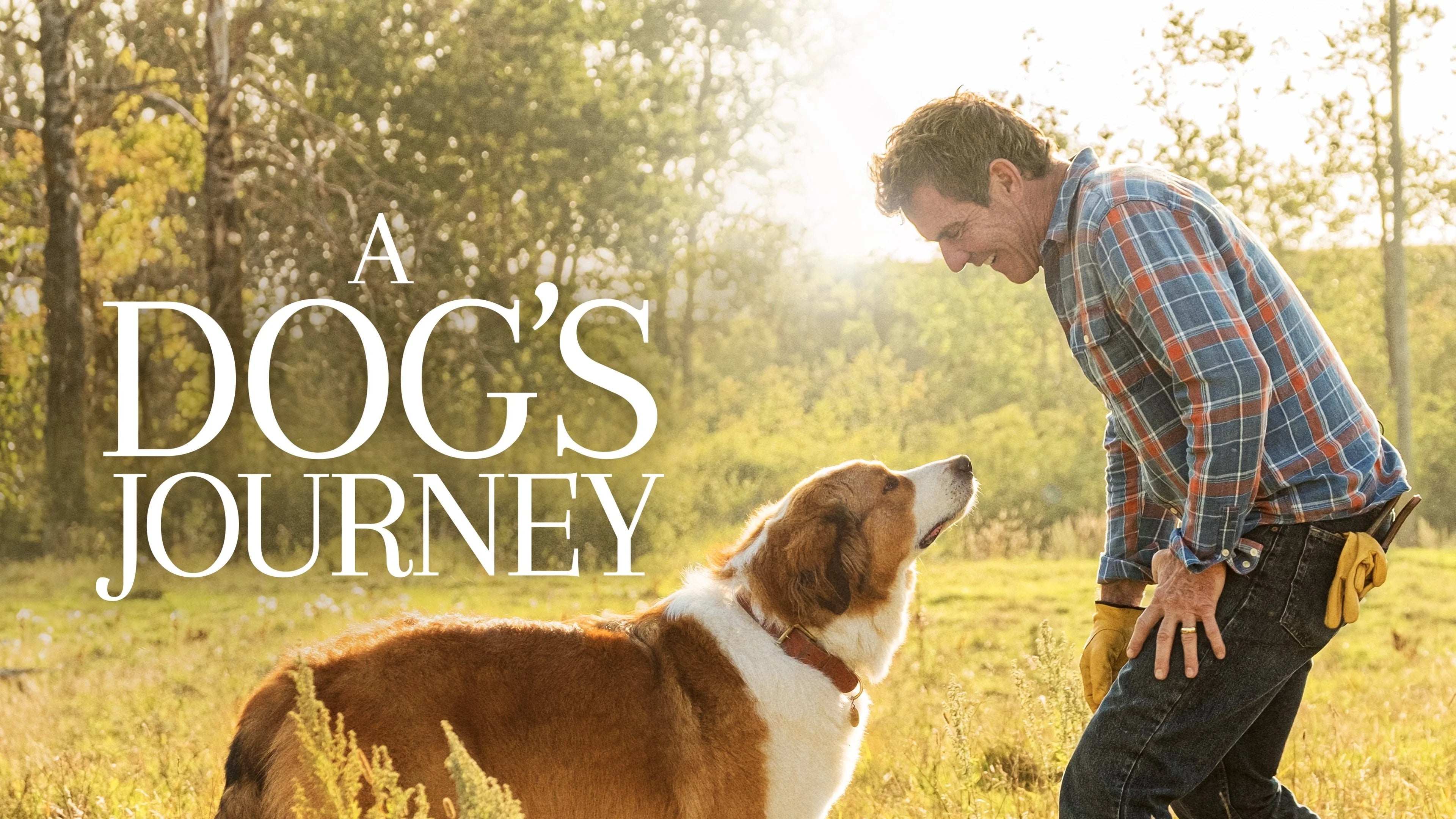A Dog's Journey (2019) home theater movie art - The Popcorn Poster Store