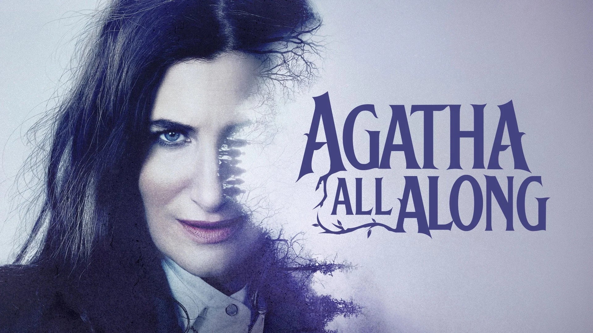 Agatha All Along (2024) home theater movie art - The Popcorn Poster Store