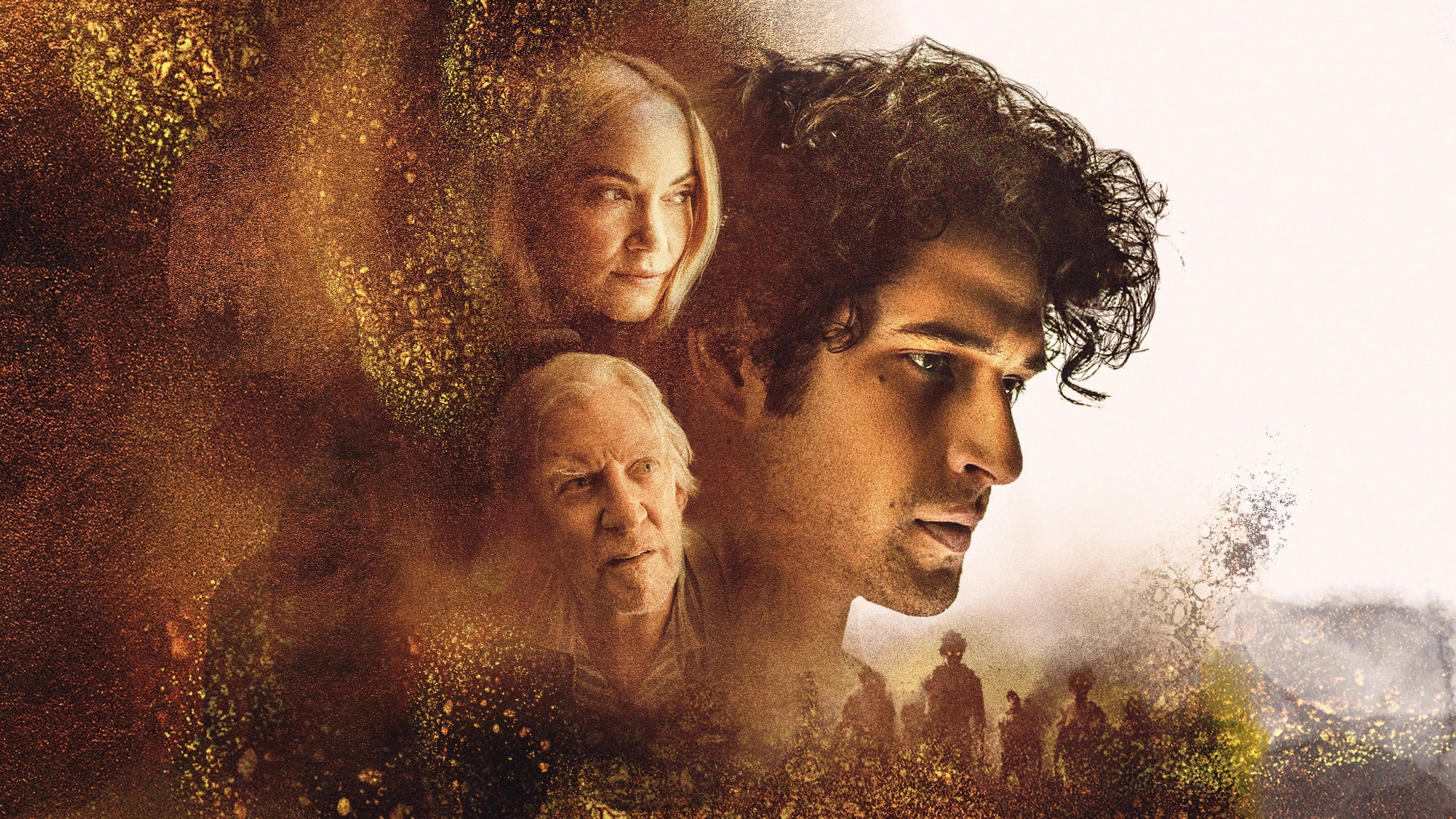 Alone (2020) home theater movie art - The Popcorn Poster Store