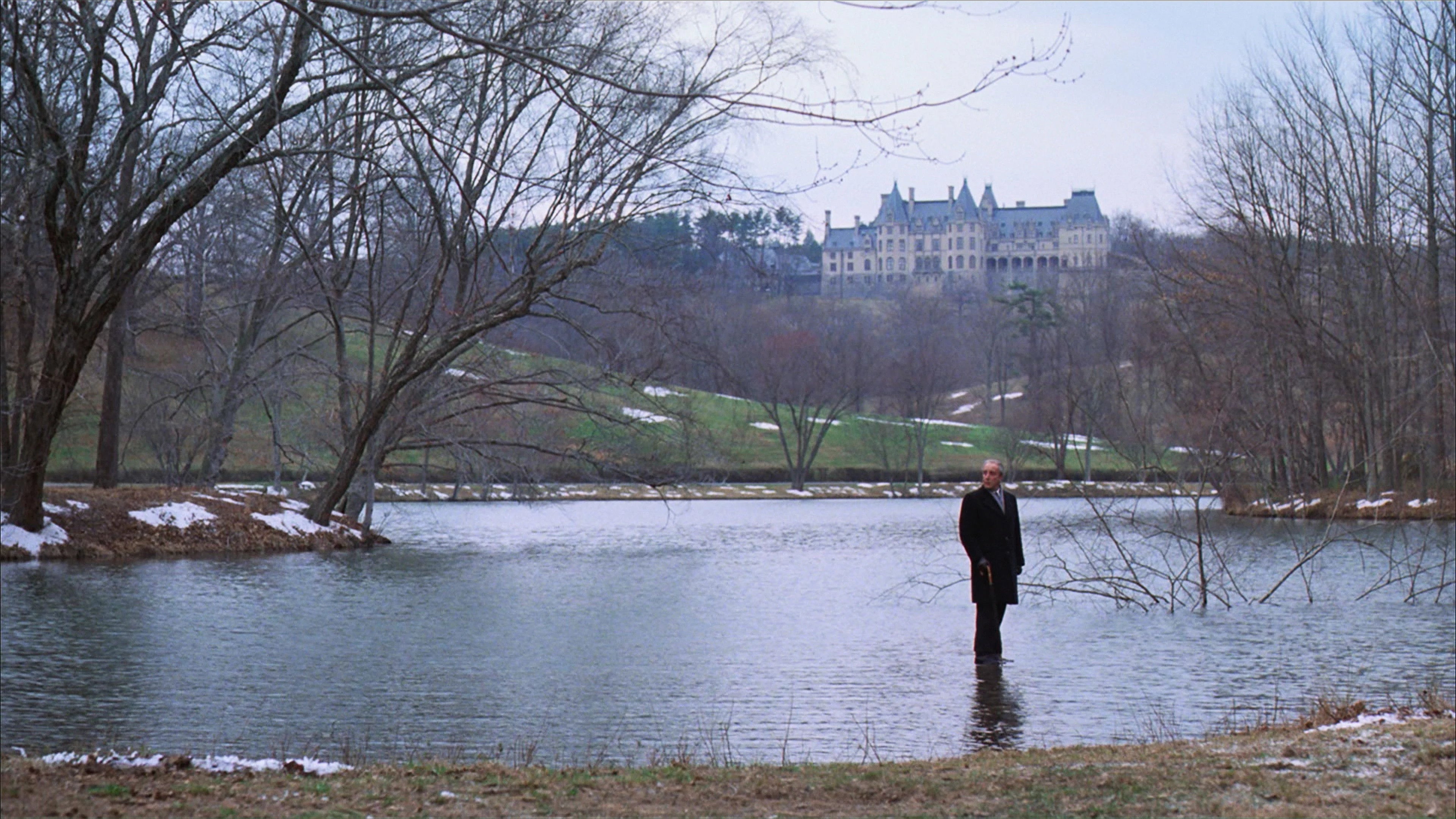 Being There (1979) home theater movie art - The Popcorn Poster Store