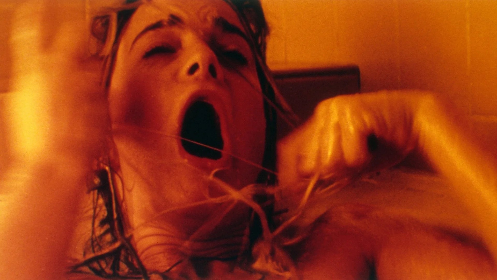 Body Snatchers (1993) home theater movie art - The Popcorn Poster Store