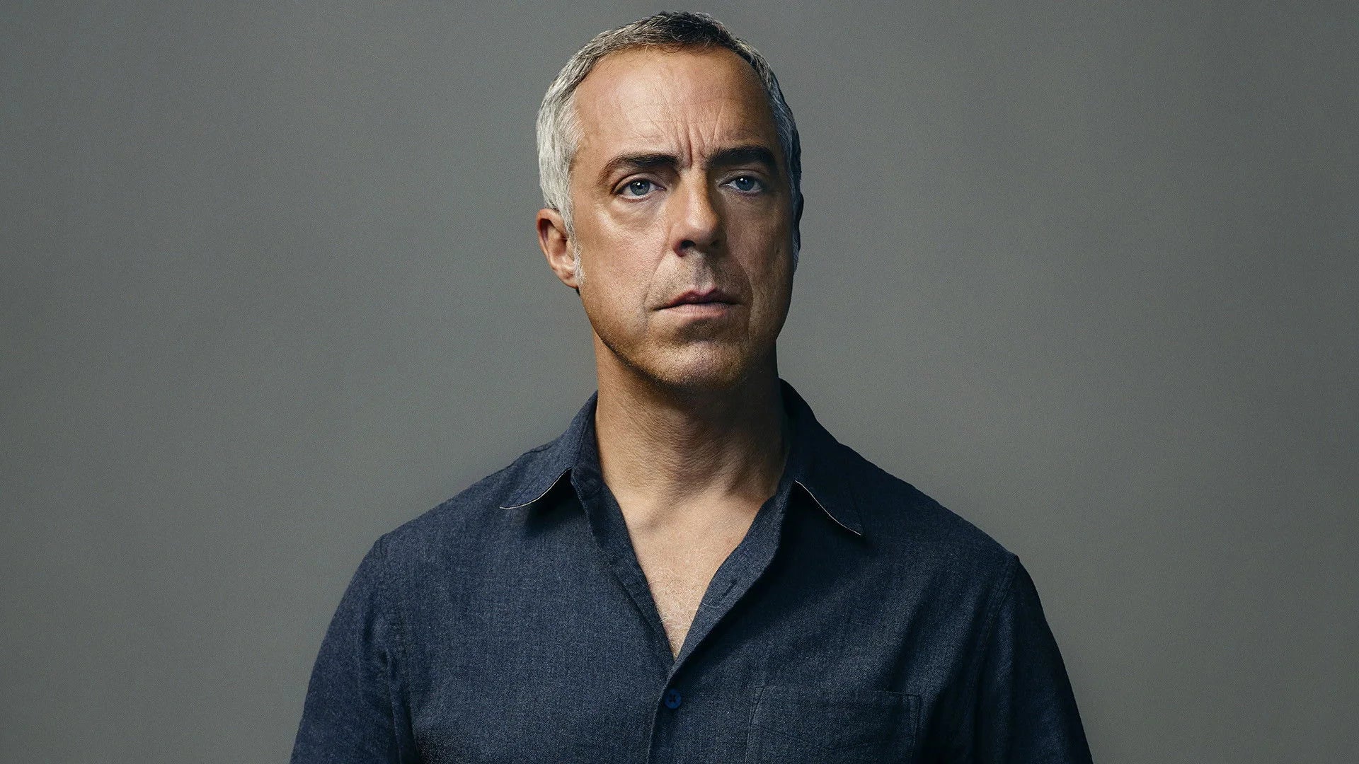 Bosch (2015) home theater movie art - The Popcorn Poster Store