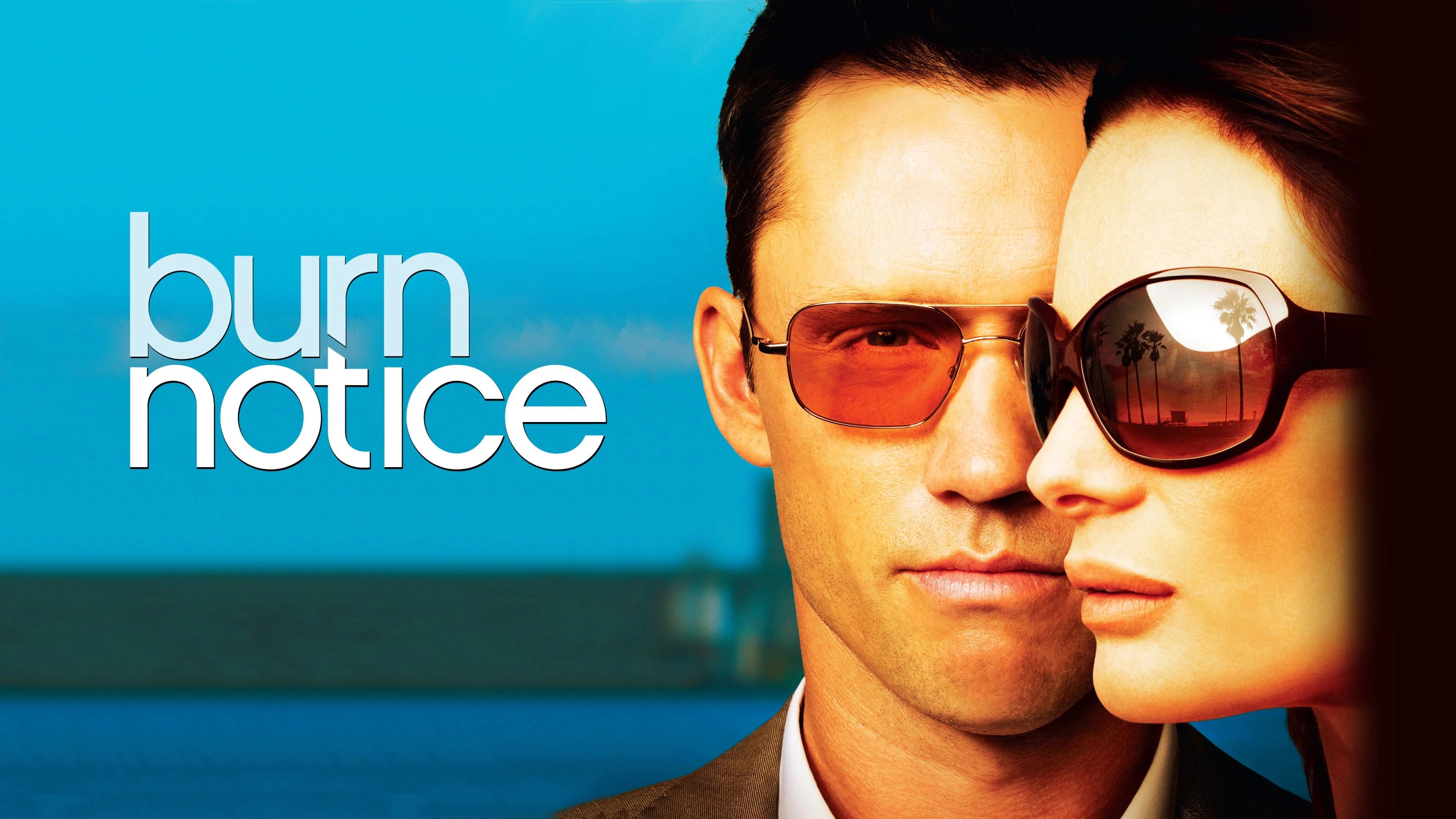 Burn Notice (2007) home theater movie art - The Popcorn Poster Store