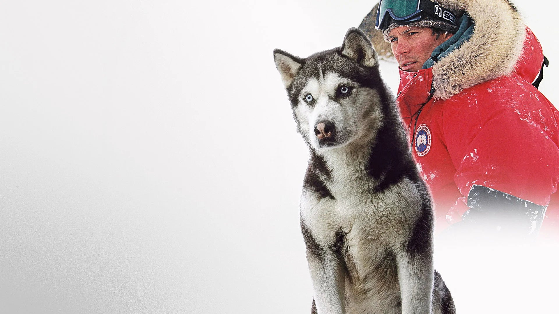 Eight Below (2006) home theater movie art - The Popcorn Poster Store