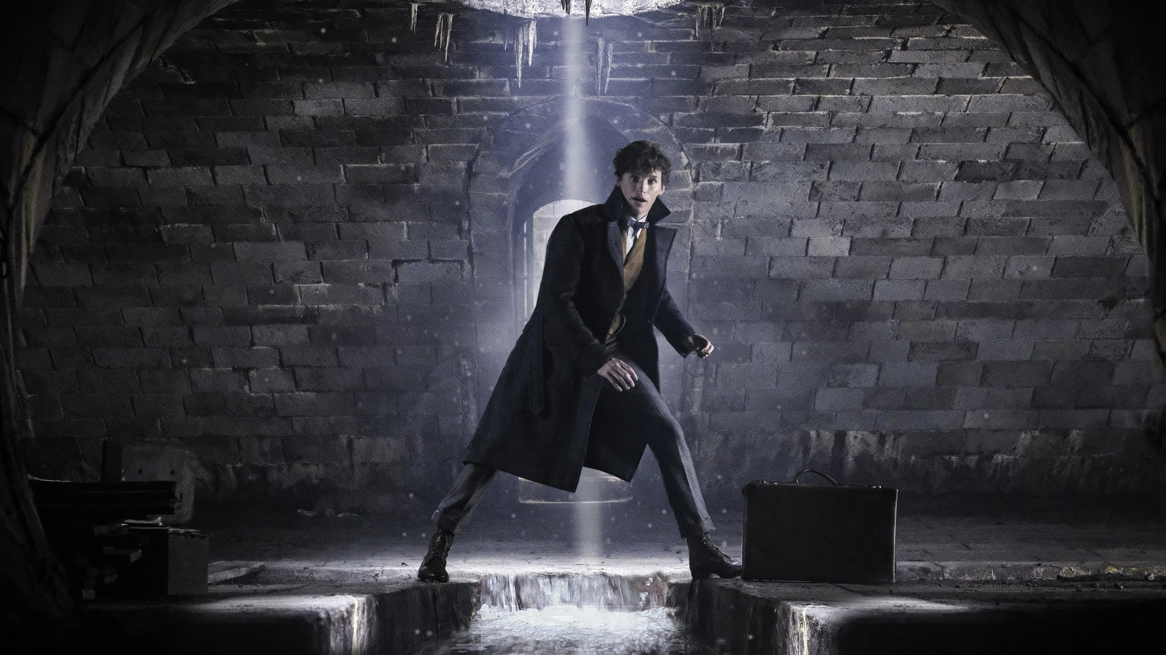 Fantastic Beasts The Crimes of Grindelwald (2018) home theater movie art - The Popcorn Poster Store