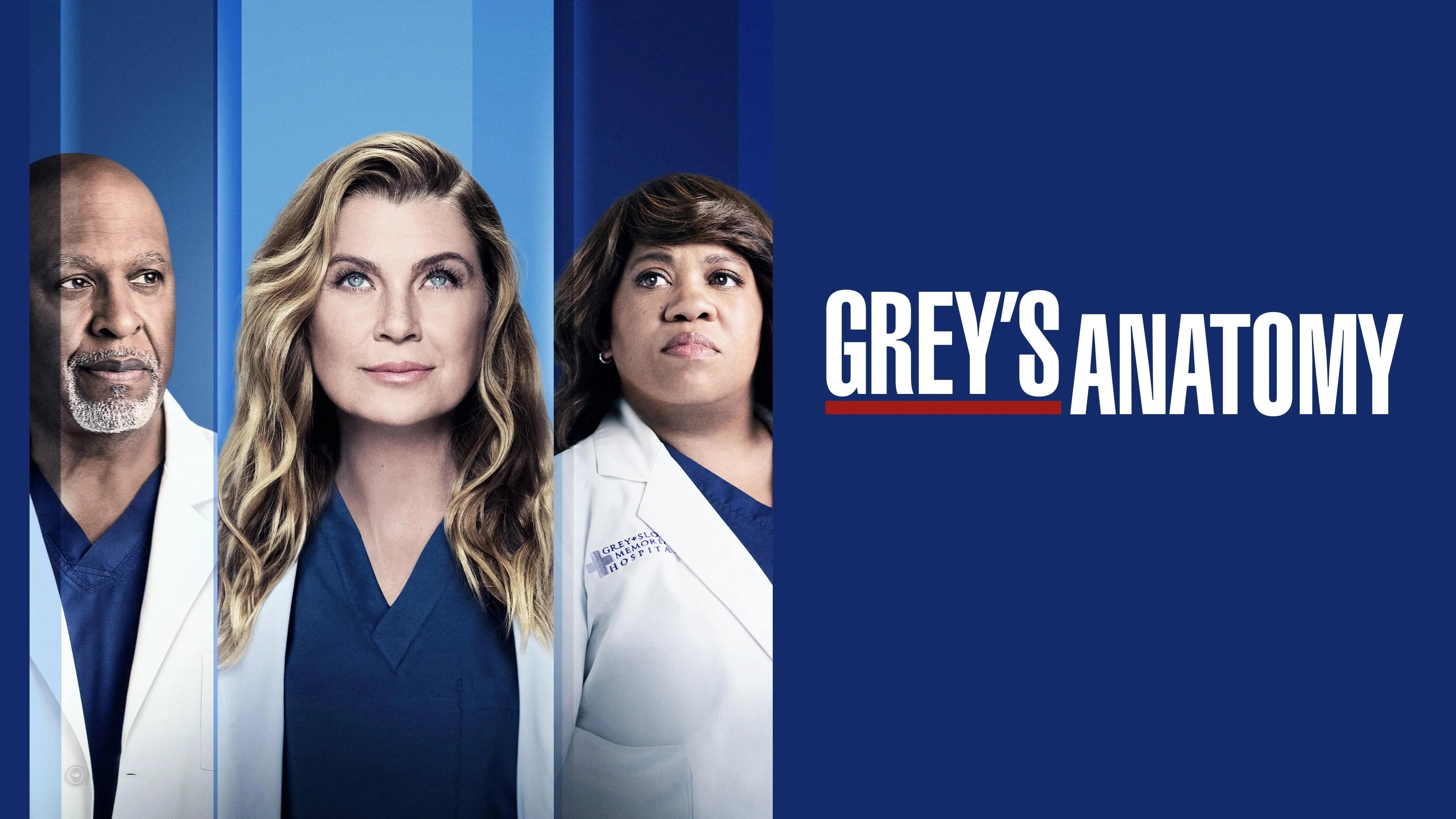 Grey's Anatomy (2005) home theater movie art - The Popcorn Poster Store