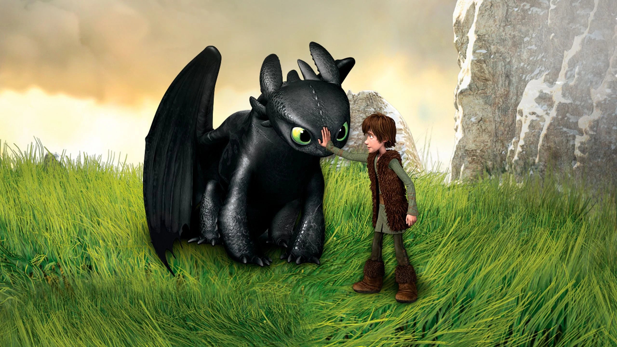 How to Train Your Dragon (2010) home theater movie art - The Popcorn Poster Store