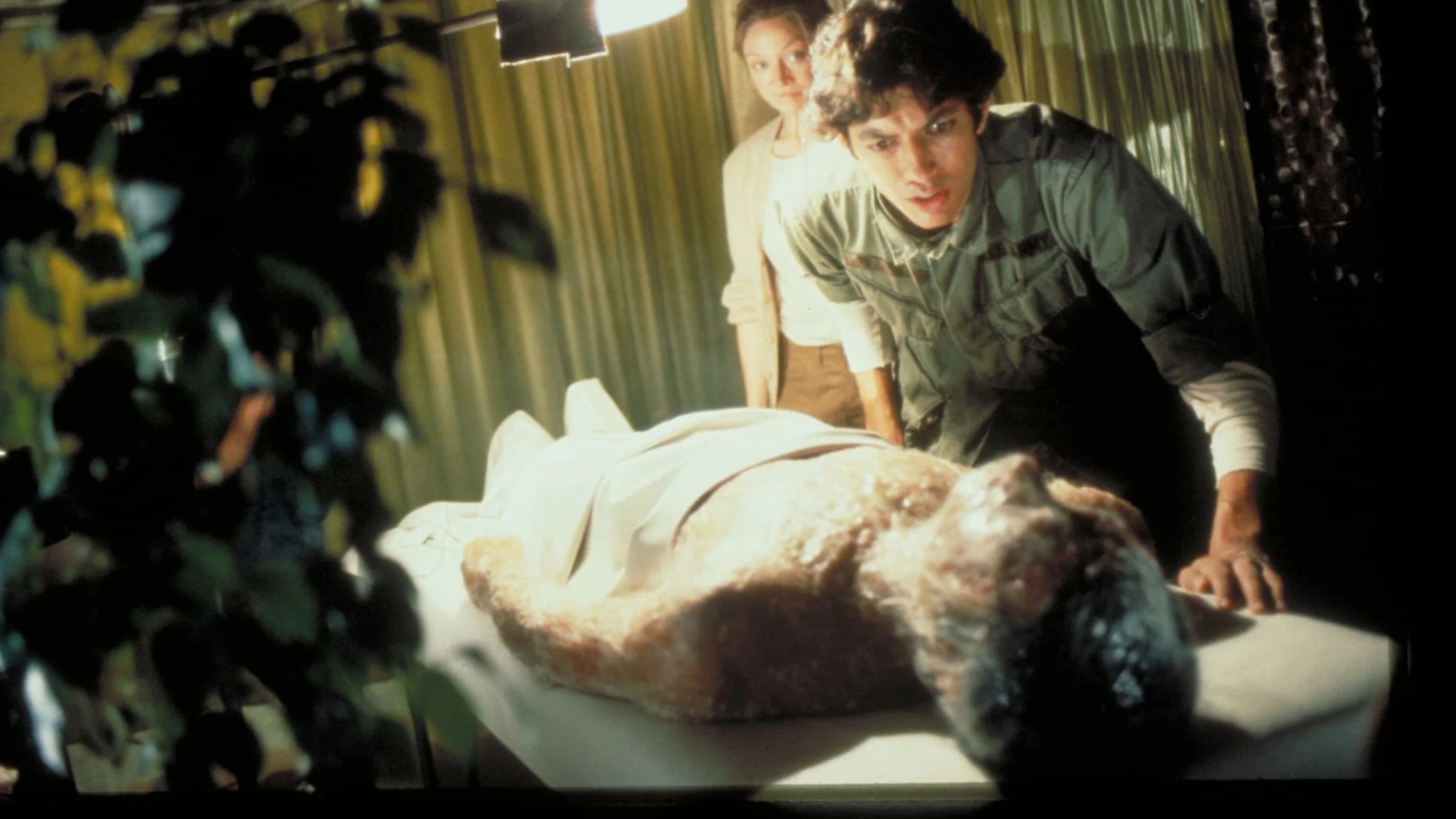 Invasion of the Body Snatchers (1978) home theater movie art - The Popcorn Poster Store