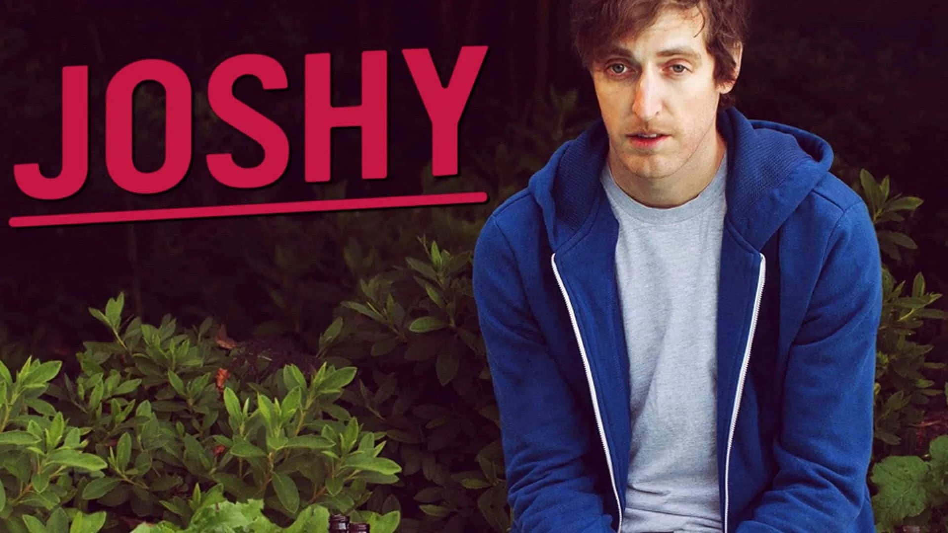 Joshy (2016) home theater movie art - The Popcorn Poster Store