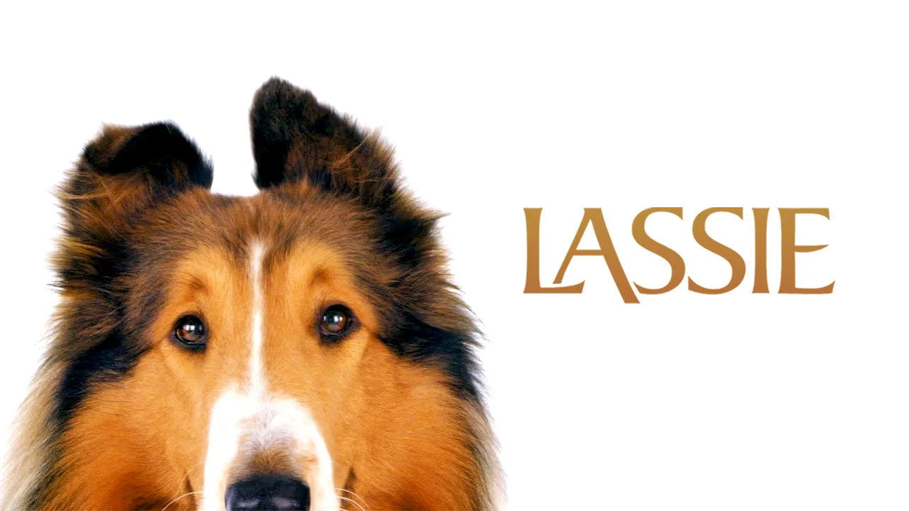 Lassie (2005) home theater movie art - The Popcorn Poster Store