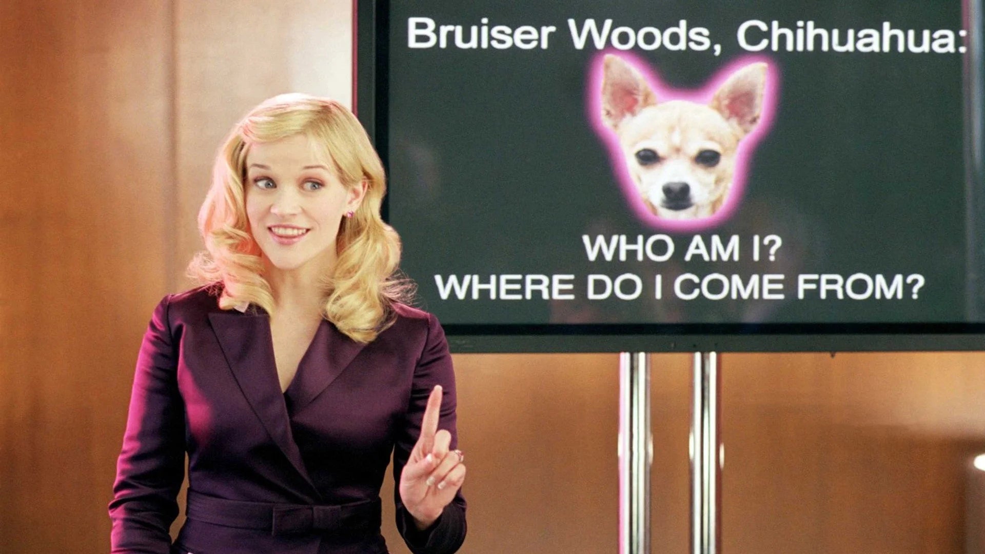 Legally Blonde 2 Red, White & Blonde (2003) home theater movie art - The Popcorn Poster Store