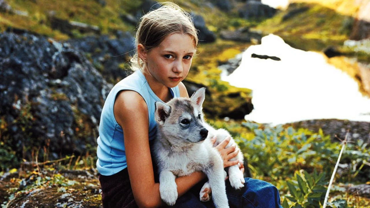 Misa Mi (2003) home theater movie art - The Popcorn Poster Store