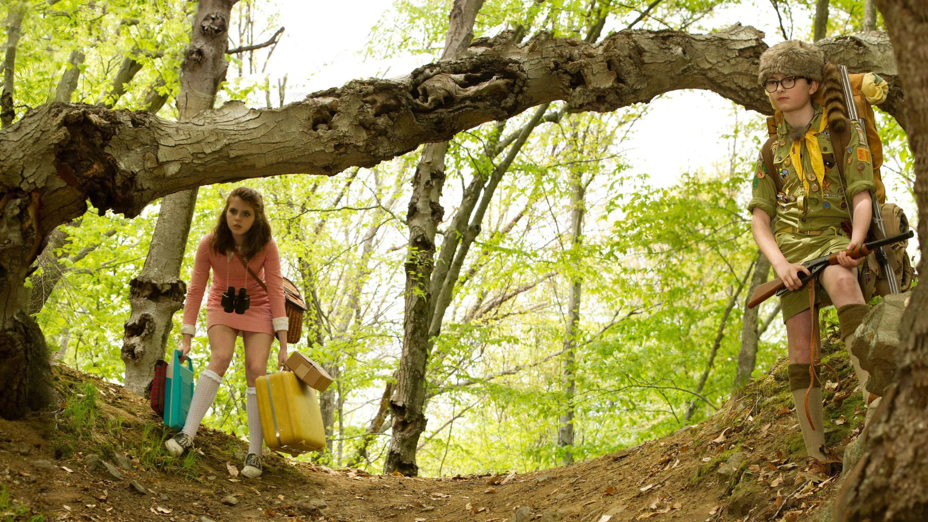 Moonrise Kingdom (2012) home theater movie art - The Popcorn Poster Store