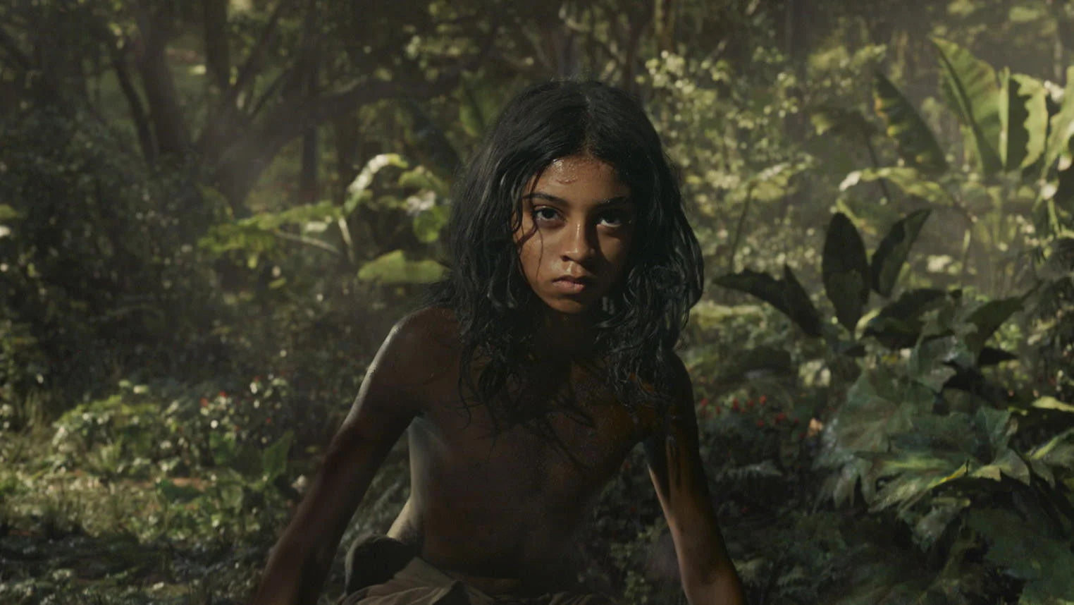 Mowgli Legend of the Jungle (2018) home theater movie art - The Popcorn Poster Store