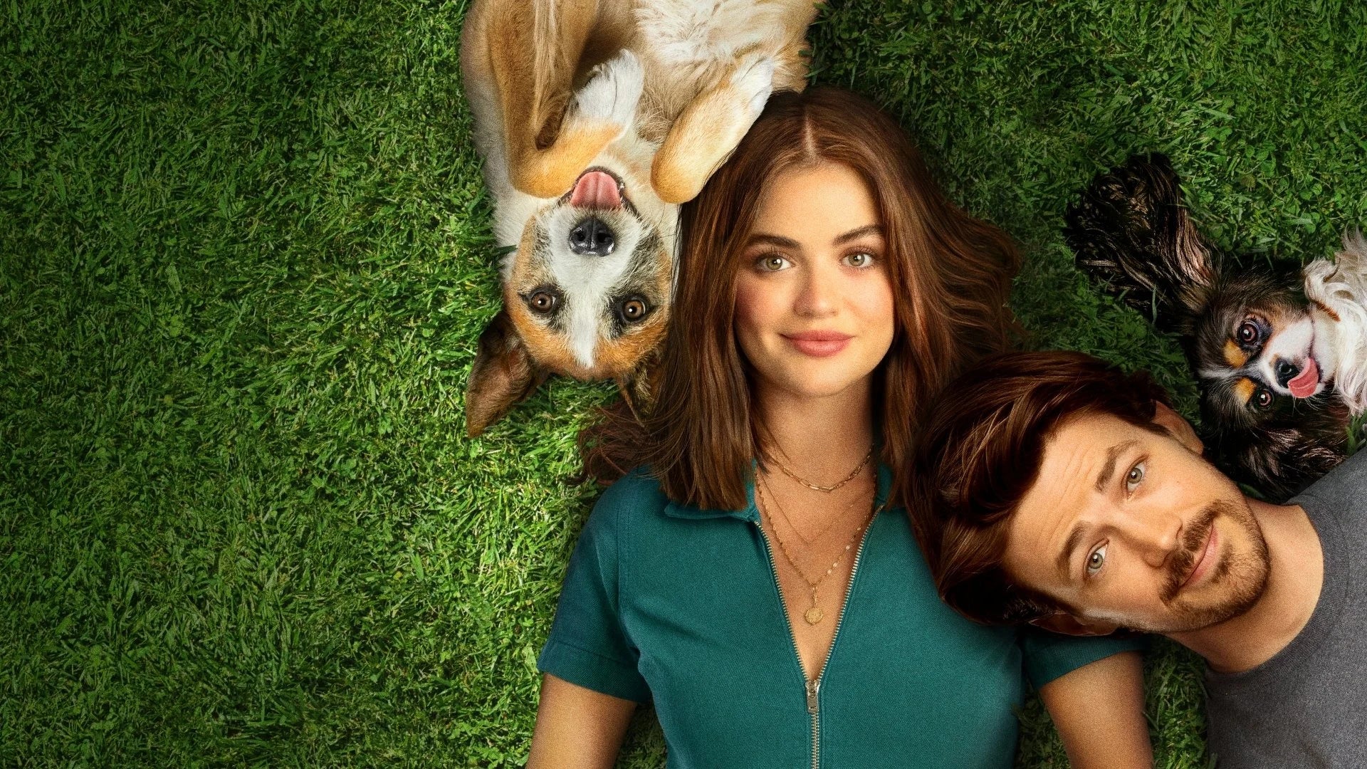 Puppy Love (2023) home theater movie art - The Popcorn Poster Store
