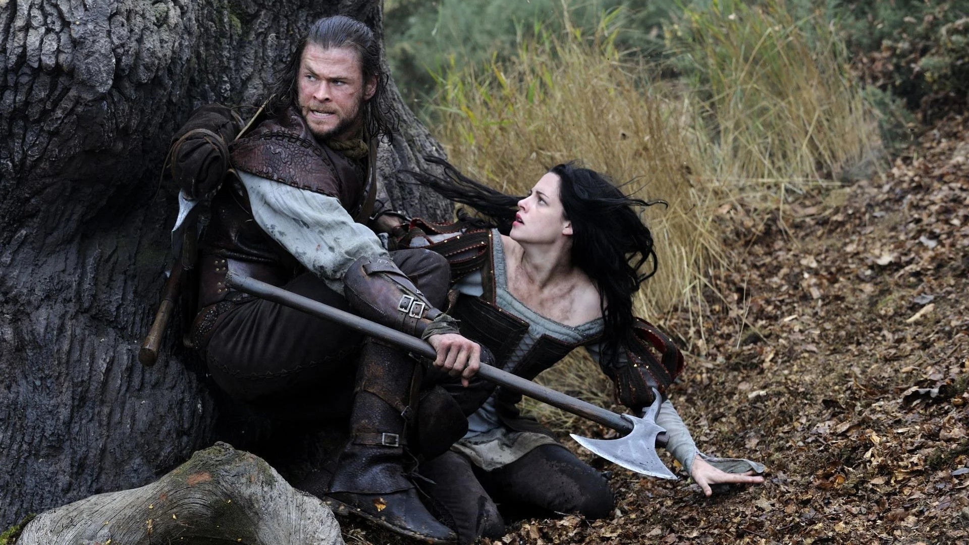 Snow White and the Huntsman (2012) home theater movie art - The Popcorn Poster Store