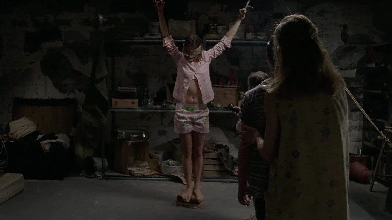 The Girl Next Door (2007) home theater movie art - The Popcorn Poster Store