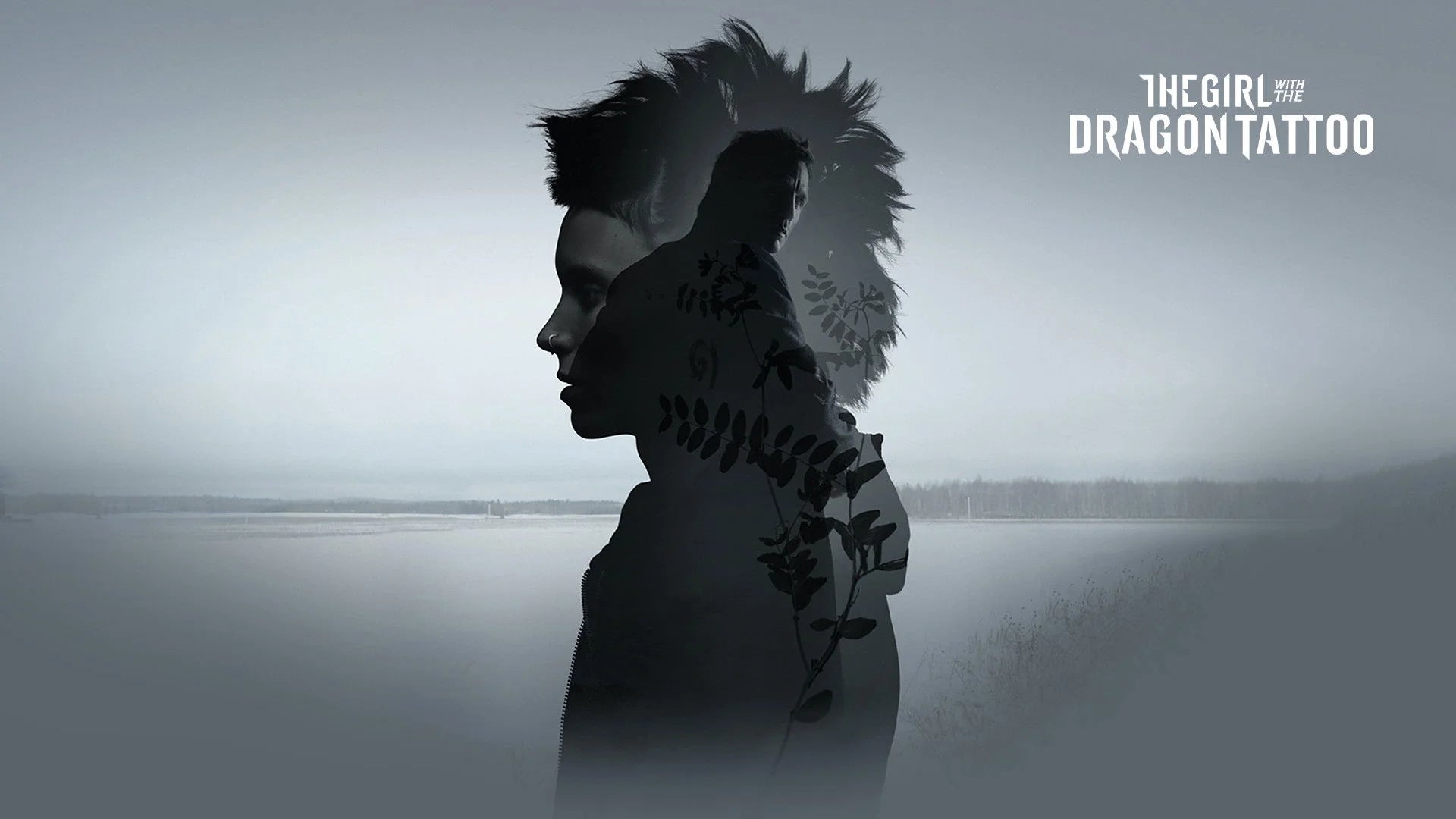 The Girl with the Dragon Tattoo (2011) home theater movie art - The Popcorn Poster Store