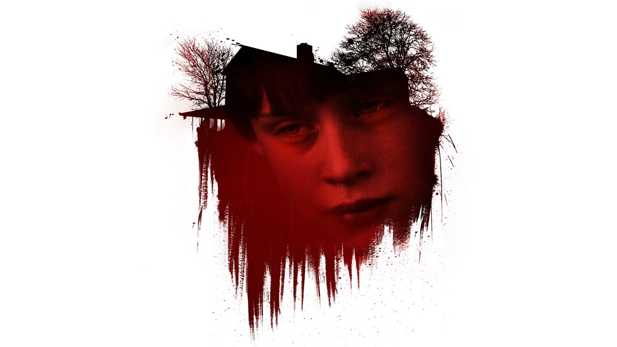 The Good Son (1993) home theater movie art - The Popcorn Poster Store