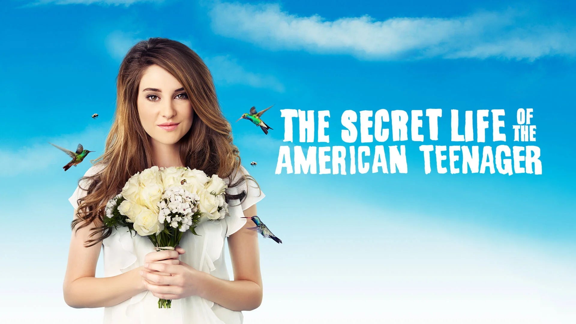 The Secret Life of the American Teenager (2008) home theater movie art - The Popcorn Poster Store