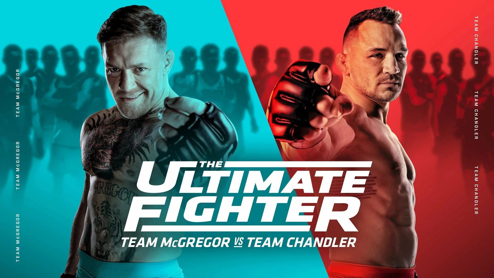 The Ultimate Fighter (2005) home theater movie art - The Popcorn Poster Store