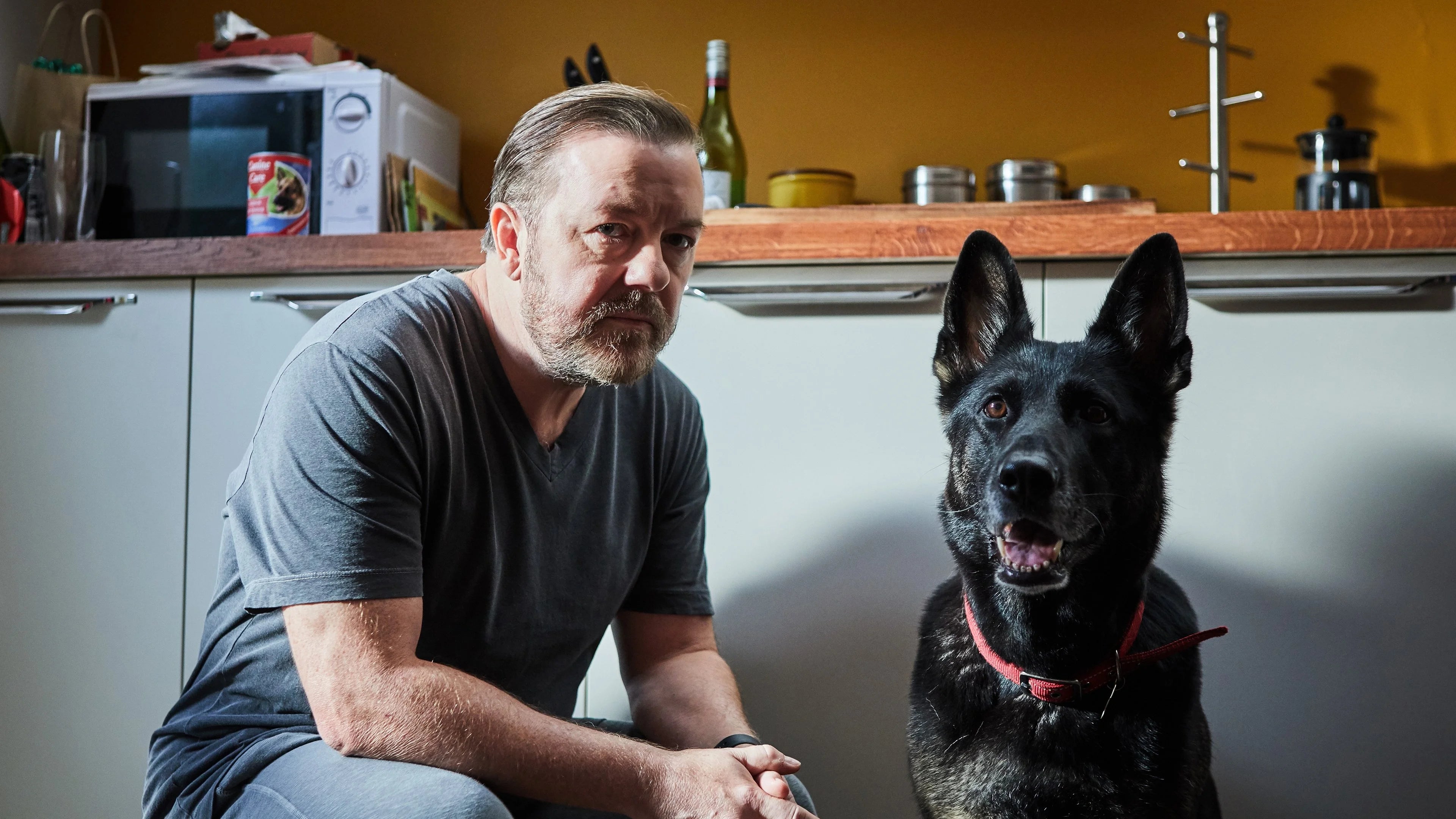 Perfect After Life (2019) Man Cave wall filler - Popcorn Poster Gallery