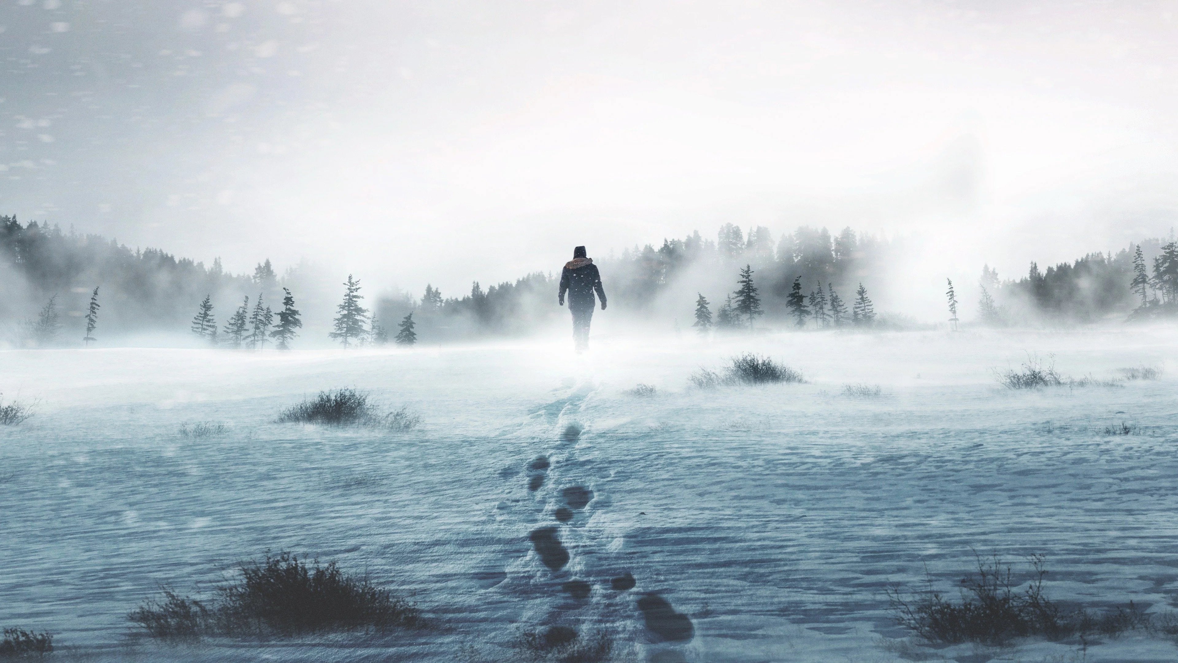Perfect Alone (2015) Man Cave wall filler - Popcorn Poster Gallery