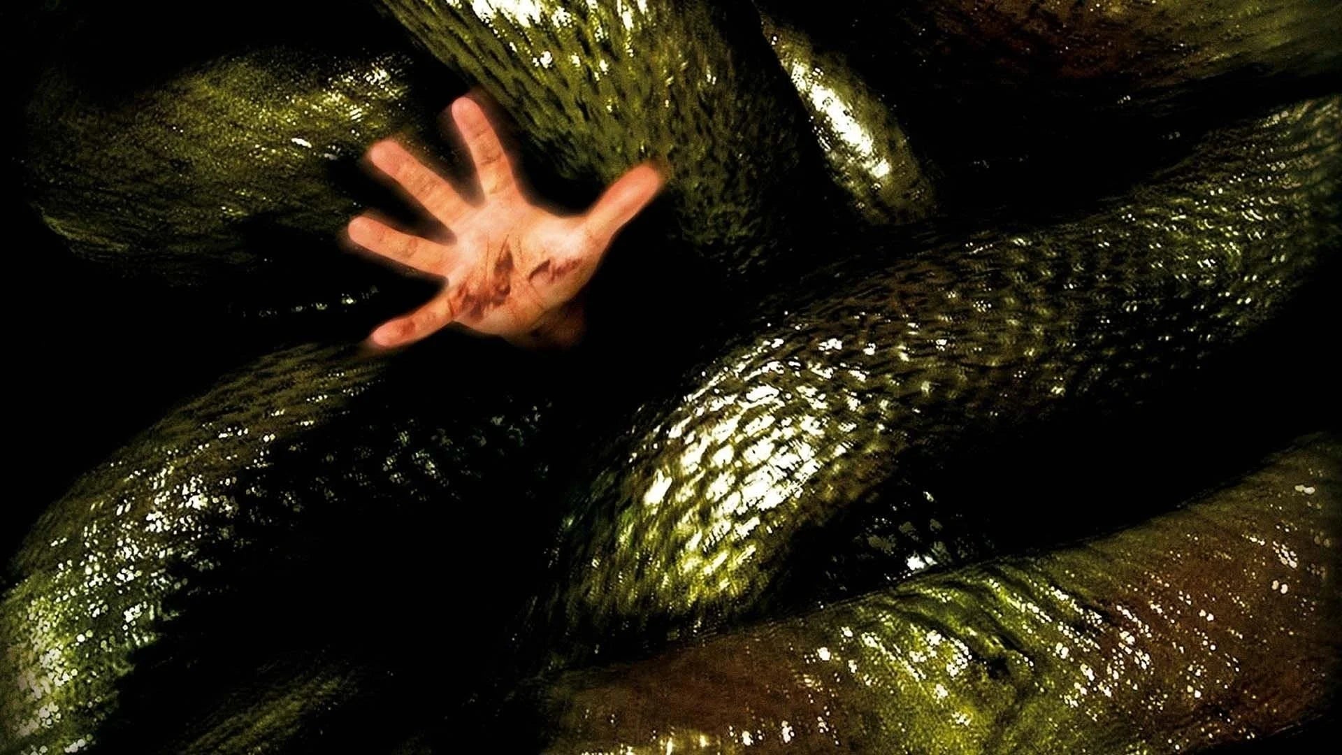 Perfect Anacondas The Hunt for the Blood Orchid (2004) Man Cave wall filler - Popcorn Poster Gallery
