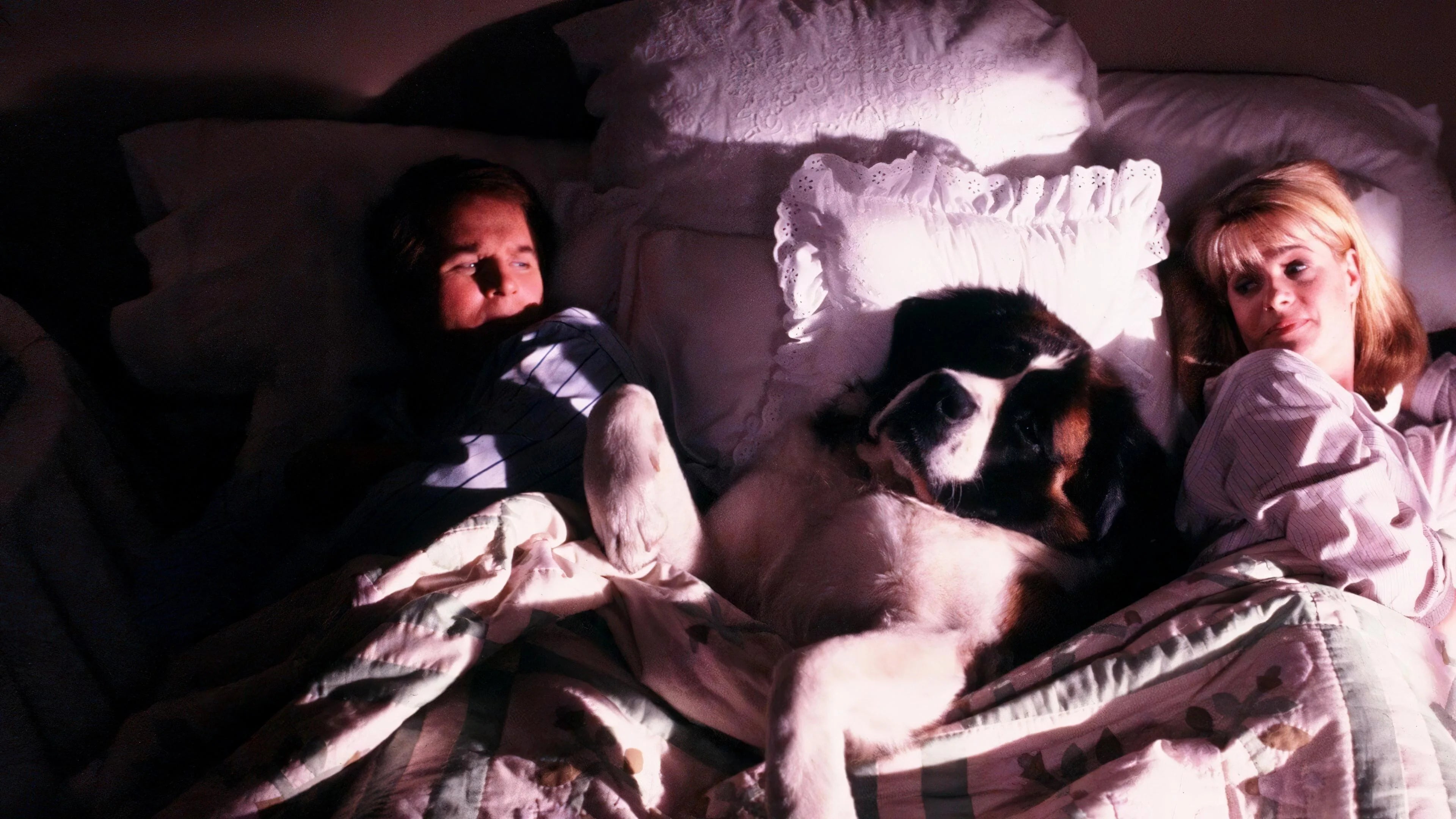 Perfect Beethoven (1992) Man Cave wall filler - Popcorn Poster Gallery