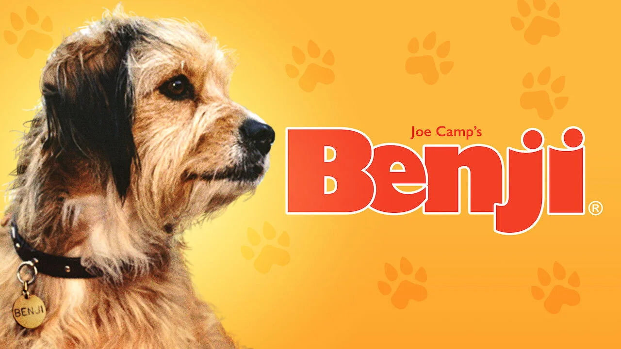 Perfect Benji (1974) Man Cave wall filler - Popcorn Poster Gallery