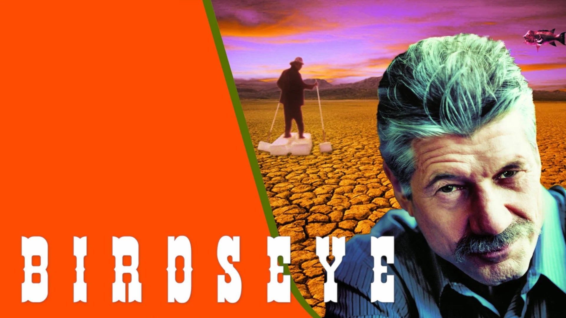 Perfect Birdseye (2002) Man Cave wall filler - Popcorn Poster Gallery