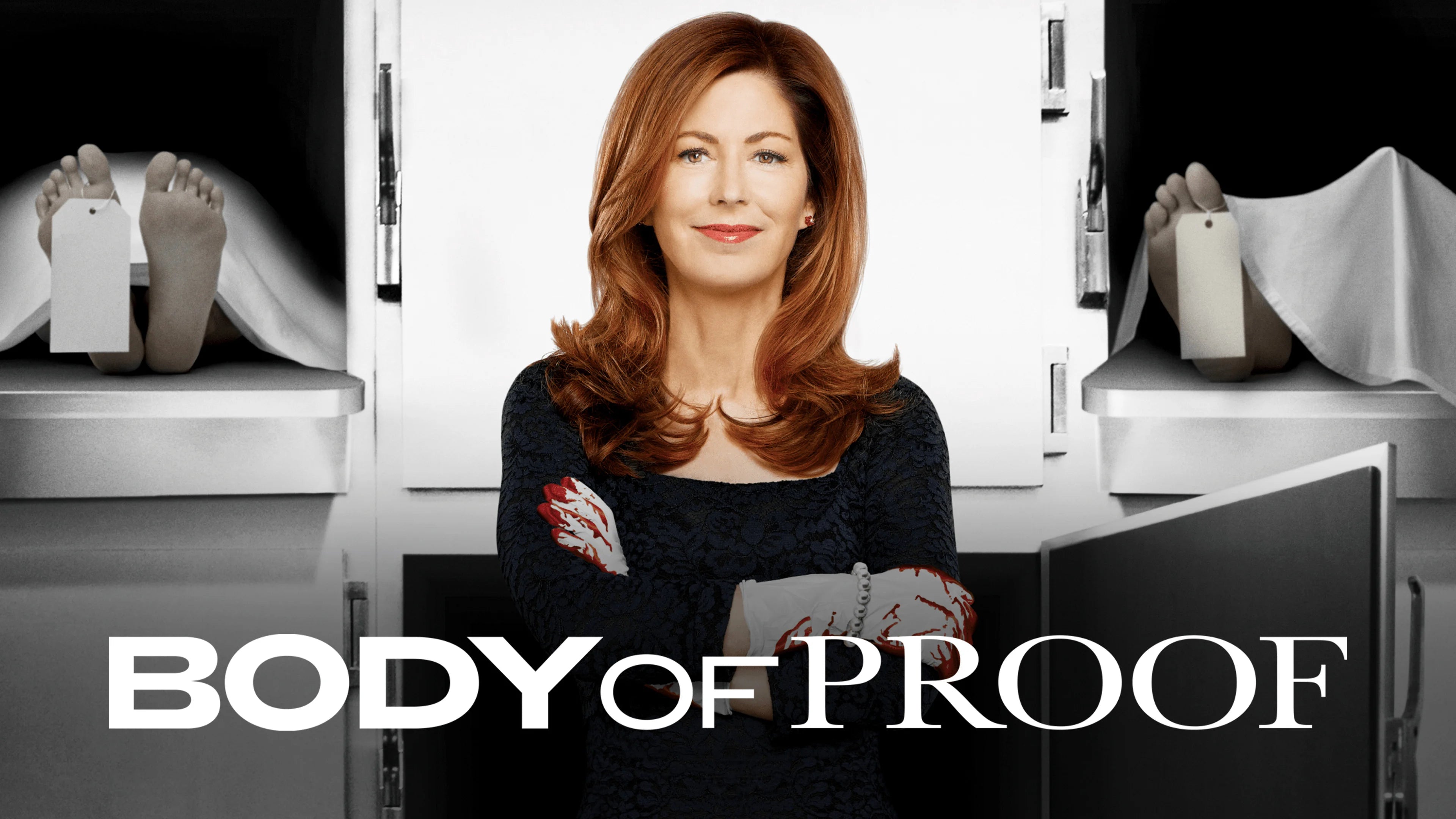Perfect Body of Proof (2011) Man Cave wall filler - Popcorn Poster Gallery