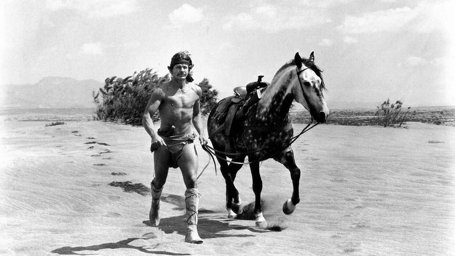 Perfect Chato's Land (1972) Man Cave wall filler - Popcorn Poster Gallery