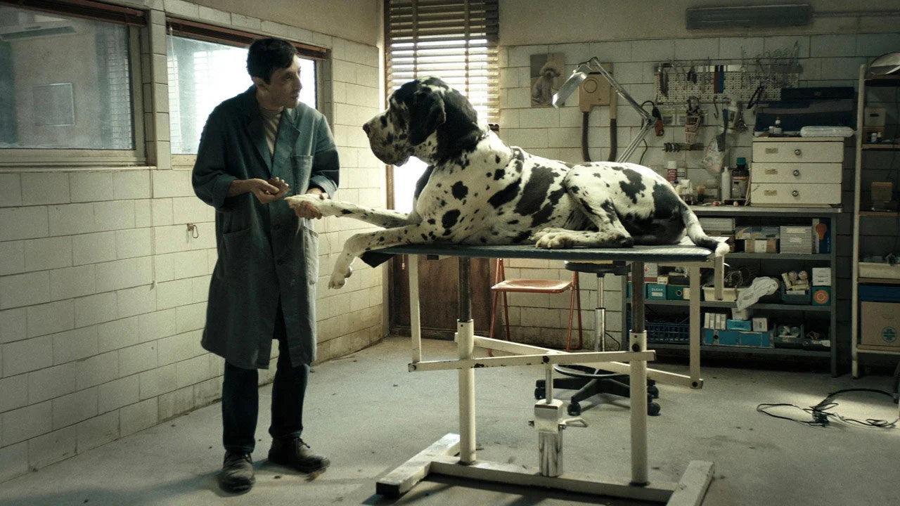 Perfect Dogman (2018) Man Cave wall filler - Popcorn Poster Gallery
