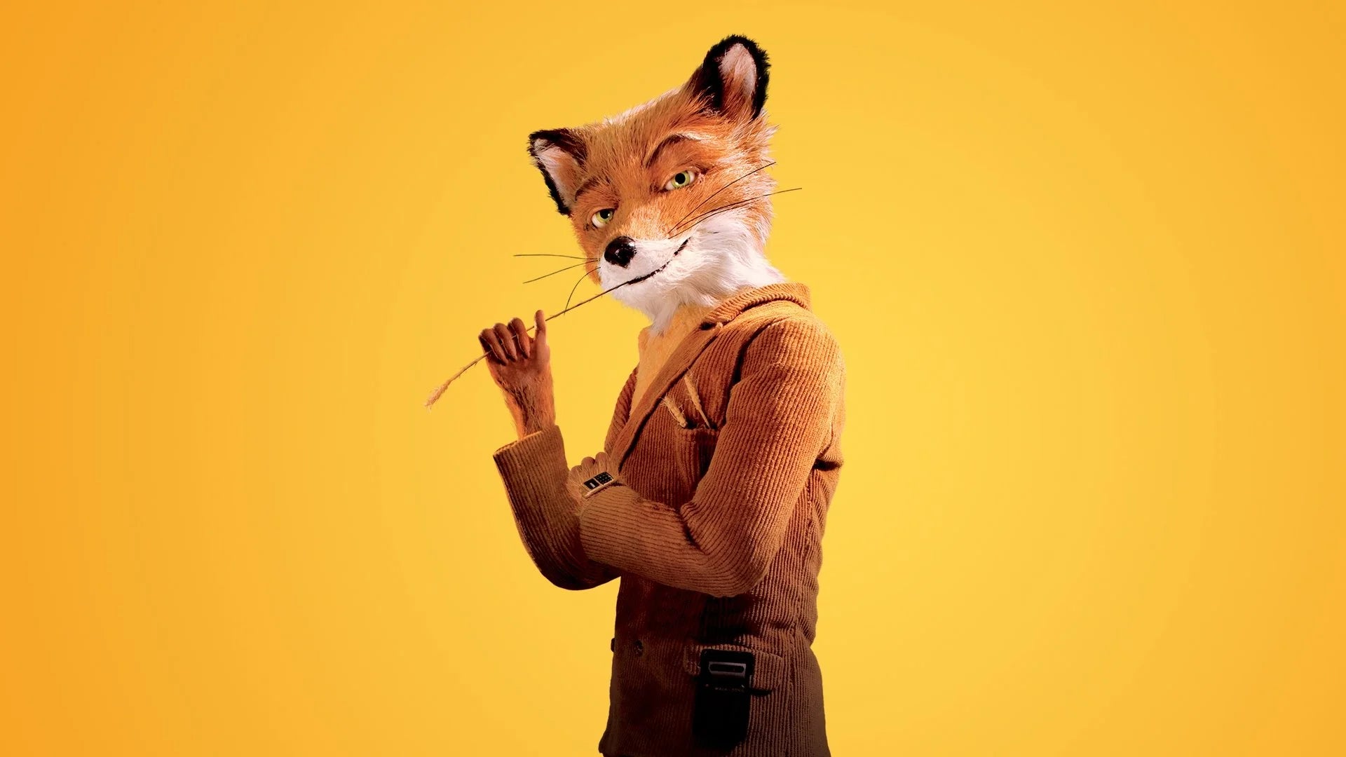 Perfect Fantastic Mr. Fox (2009) Man Cave wall filler - Popcorn Poster Gallery