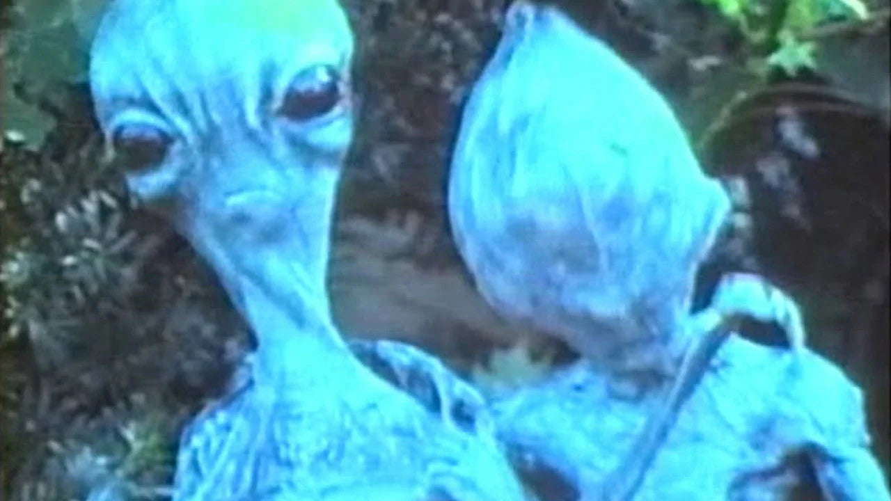 Perfect Feeders (1996) Man Cave wall filler - Popcorn Poster Gallery