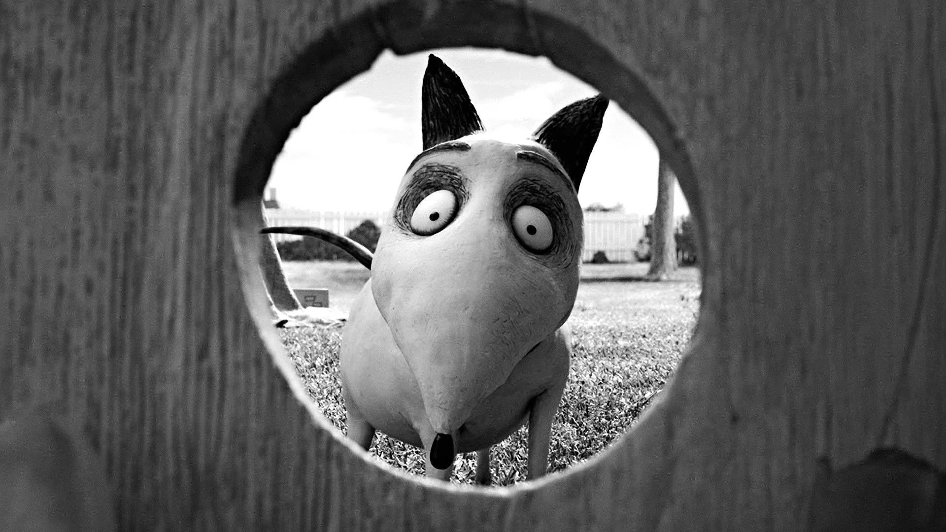 Perfect Frankenweenie (2012) Man Cave wall filler - Popcorn Poster Gallery
