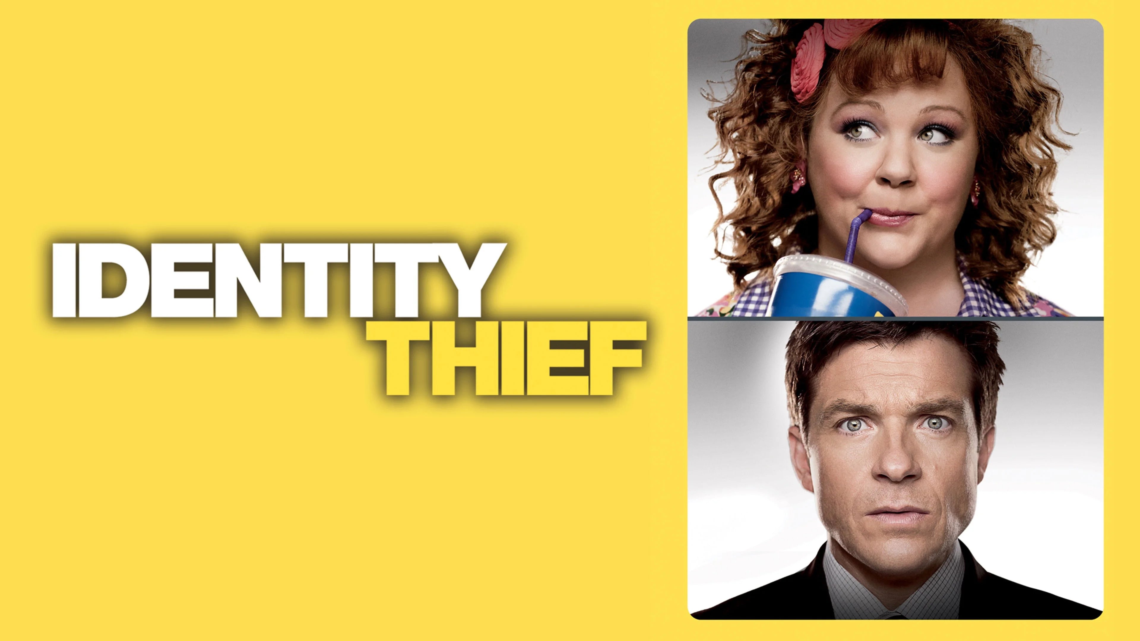Perfect Identity Thief (2013) Man Cave wall filler - Popcorn Poster Gallery