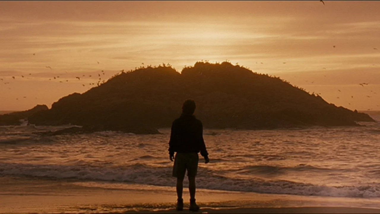Perfect Into the Wild (2007) Man Cave wall filler - Popcorn Poster Gallery