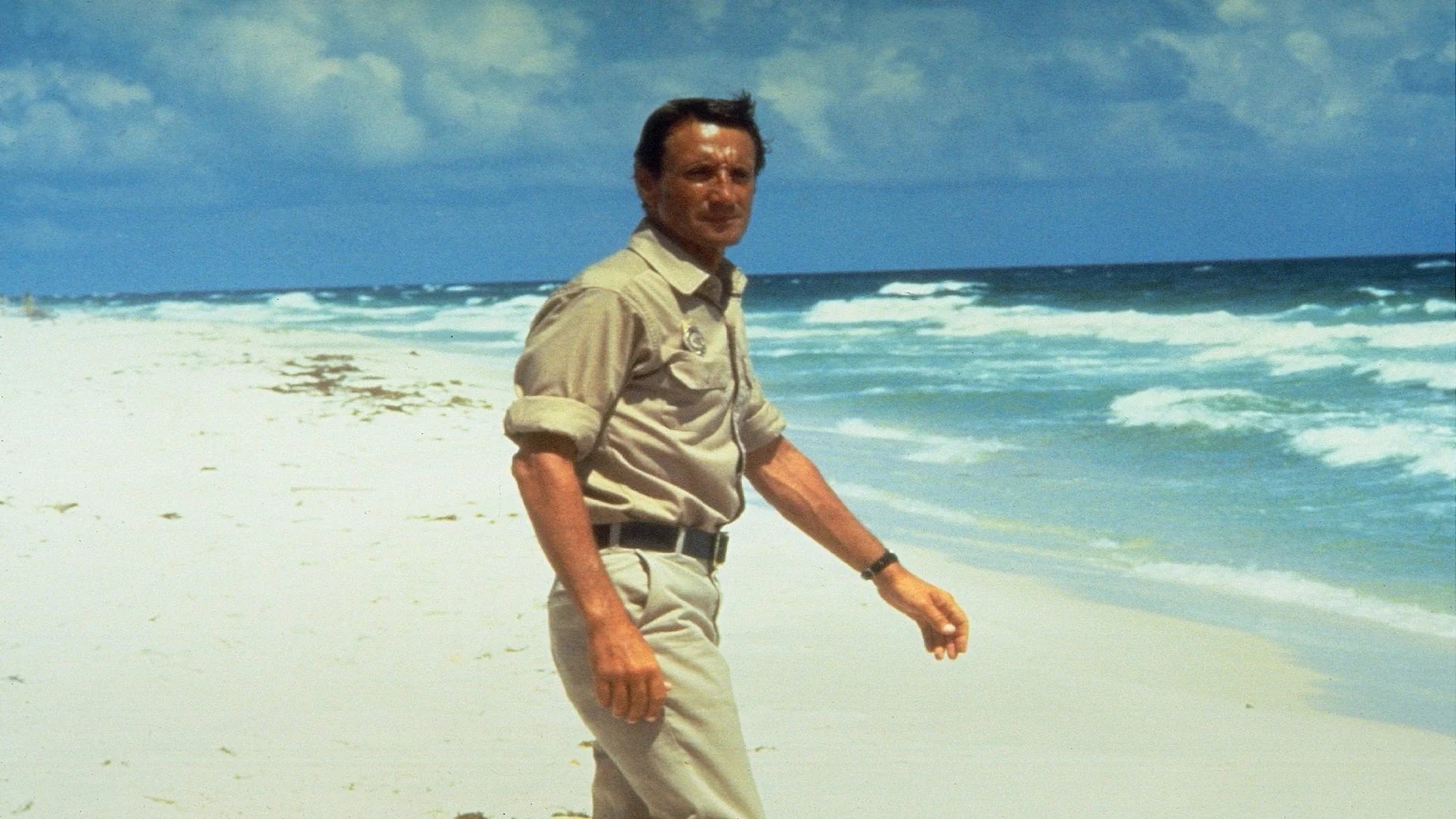 Perfect Jaws 2 (1978) Man Cave wall filler - Popcorn Poster Gallery