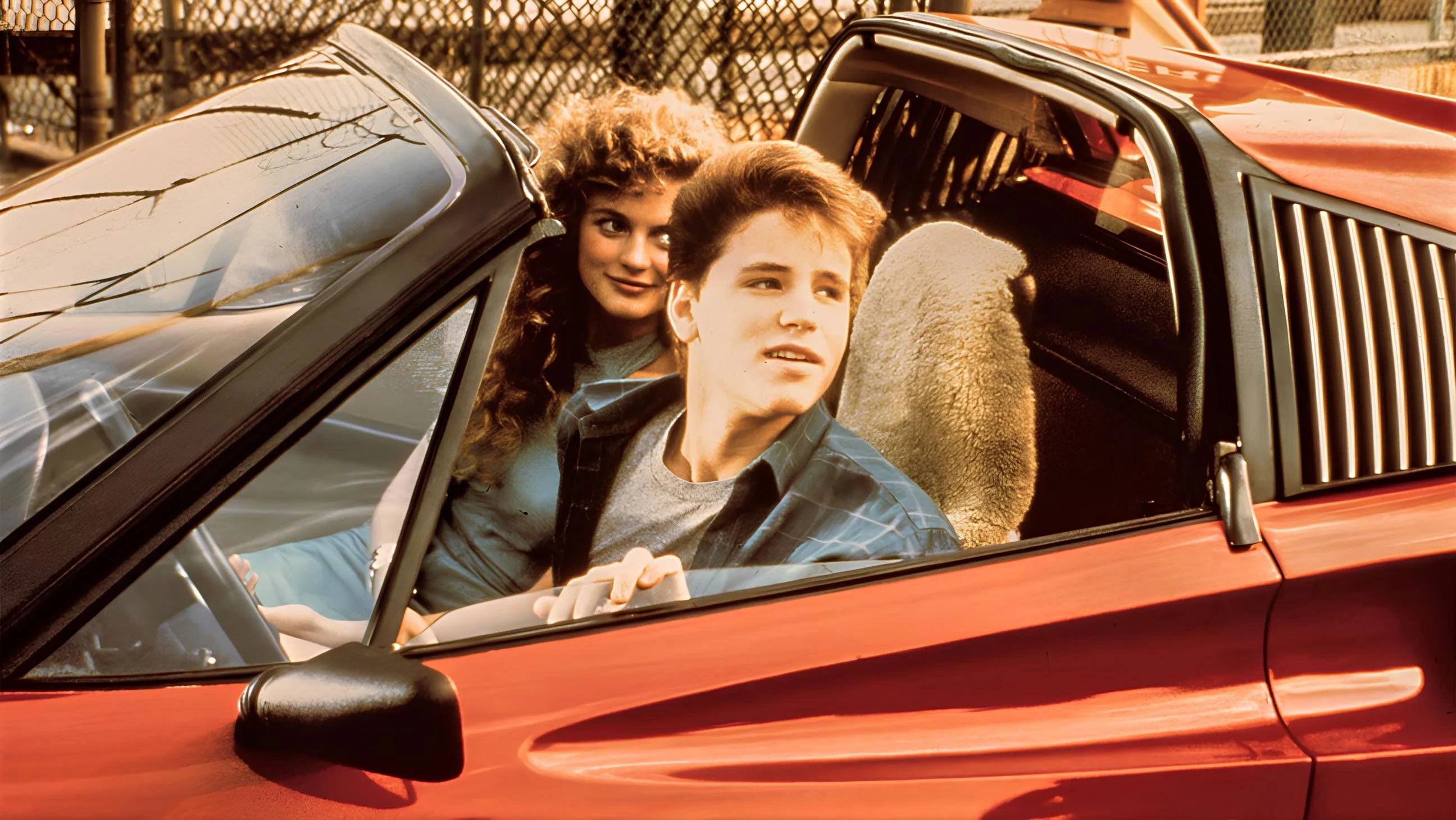 Perfect License to Drive (1988) Man Cave wall filler - Popcorn Poster Gallery