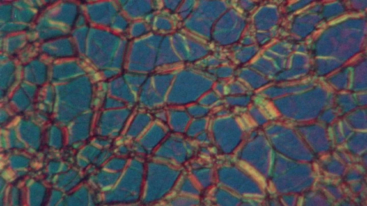Perfect Liquid Crystals (1978) Man Cave wall filler - Popcorn Poster Gallery