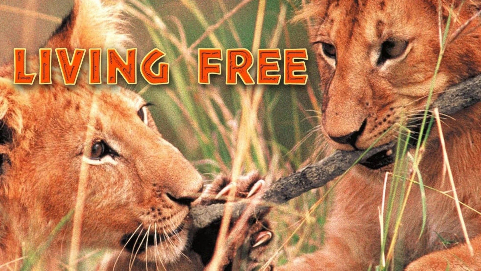 Perfect Living Free (1972) Man Cave wall filler - Popcorn Poster Gallery