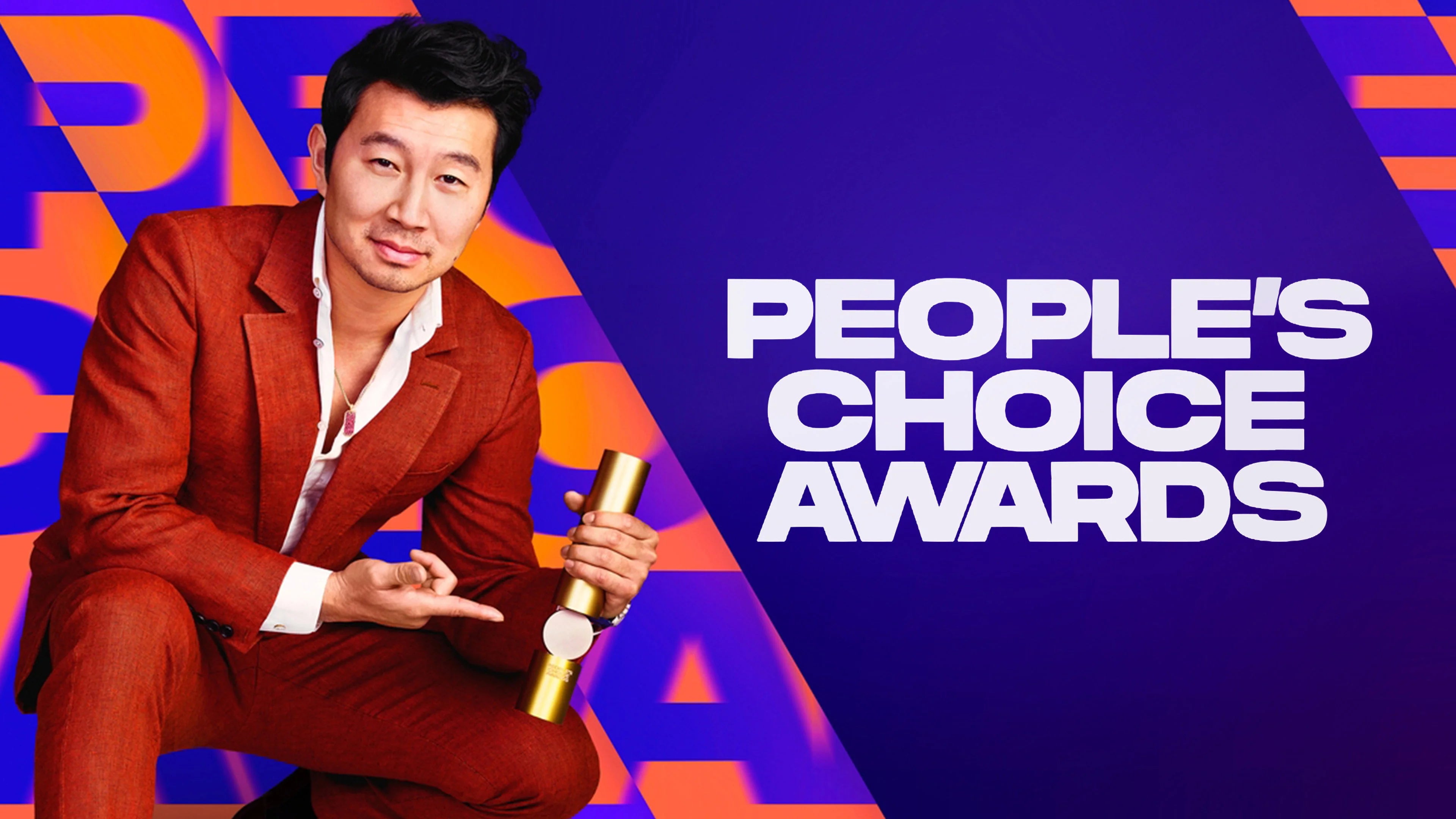 Perfect People's Choice Awards (1975) Man Cave wall filler - Popcorn Poster Gallery